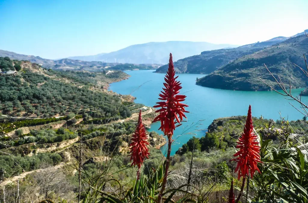 Valle de Lecrín Laguna de Padul