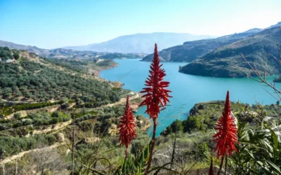 ¿Qué descubrir en el Valle de Lecrín?